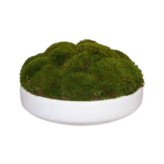 White Moss Bowl