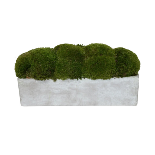 Small Moss Tray