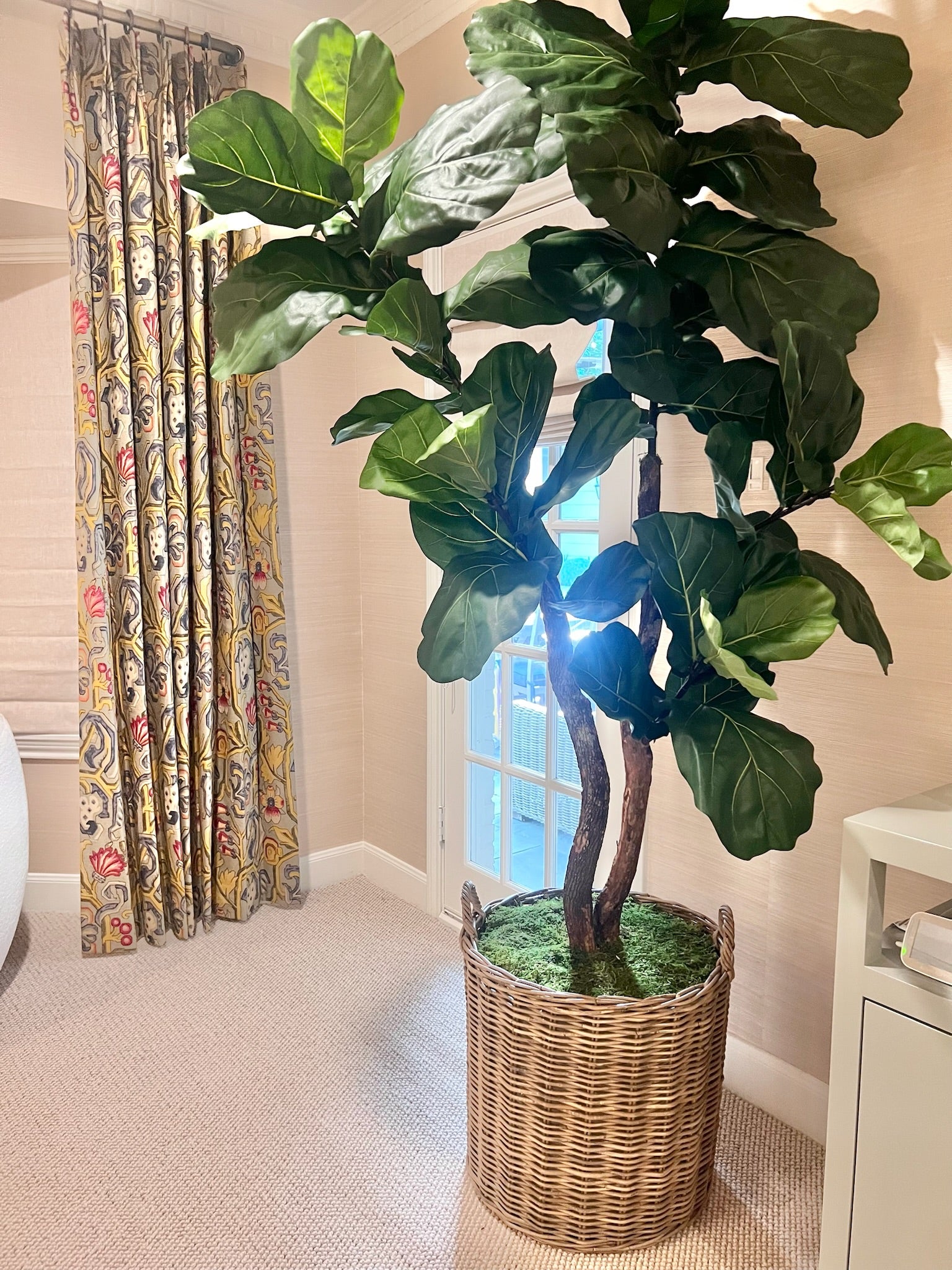 9 ft fiddle leaf fig tree Fiddle Leaf Tree
