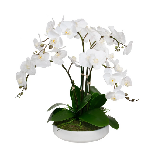 White Large Orchid Bowl