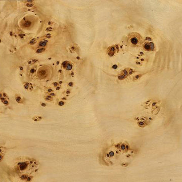 Burl Wood Sample