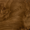 Burl Wood Sample