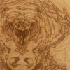 Burl Wood Sample